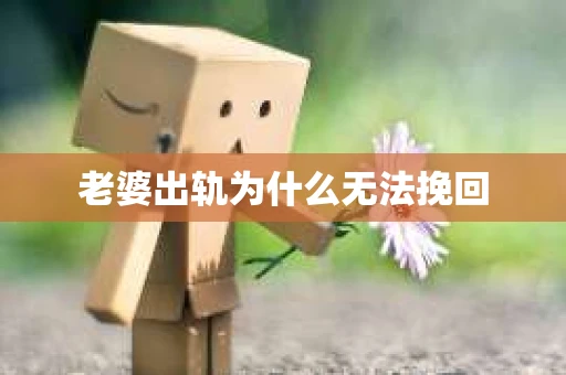 老婆出轨为什么无法挽回
