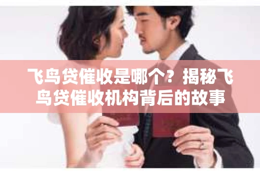 飞鸟贷催收是哪个?揭秘飞鸟贷催收机构背后的故事 飞鸟贷催收是哪个?揭秘飞鸟贷催收机构背后的故事