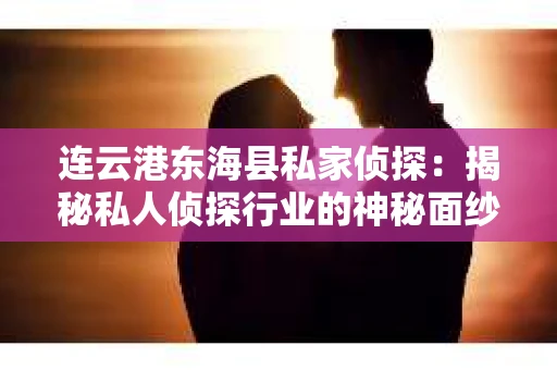 连云港东海县私家侦探：揭秘私人侦探行业的神秘面纱