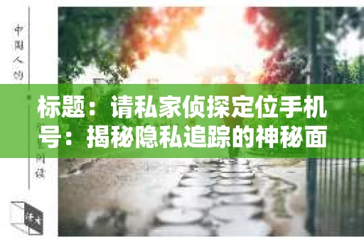 标题：请私家侦探定位手机号：揭秘隐私追踪的神秘面纱