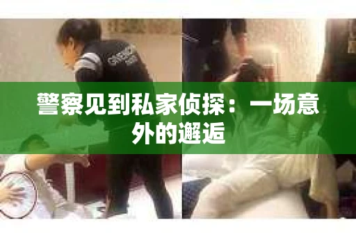 警察见到私家侦探：一场意外的邂逅