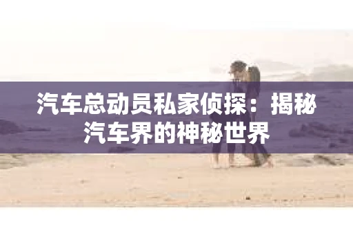 汽车总动员私家侦探：揭秘汽车界的神秘世界