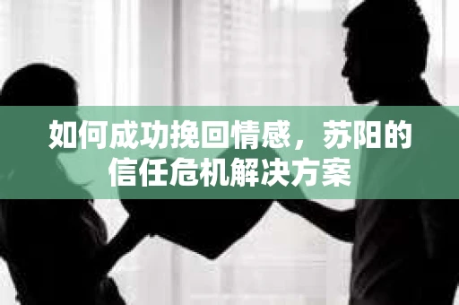 如何成功挽回情感，苏阳的信任危机解决方案