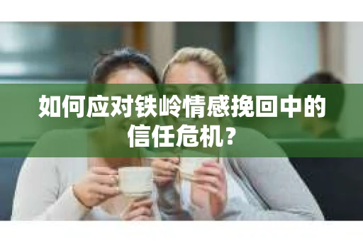 如何应对铁岭情感挽回中的信任危机？
